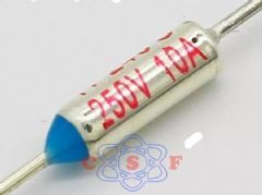 Fusível Térmico 240º 10 Ampêres 250V